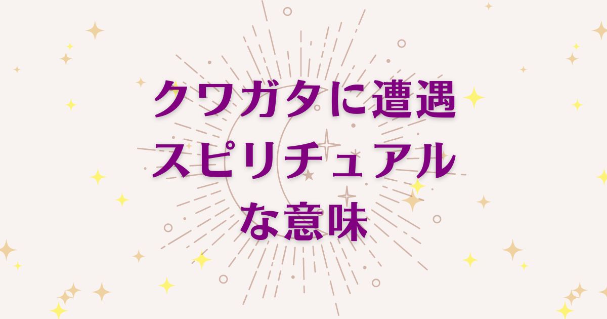 「クワガタに遭遇」した時のスピリチュアルな5つの意味！メッセージと象徴を解説