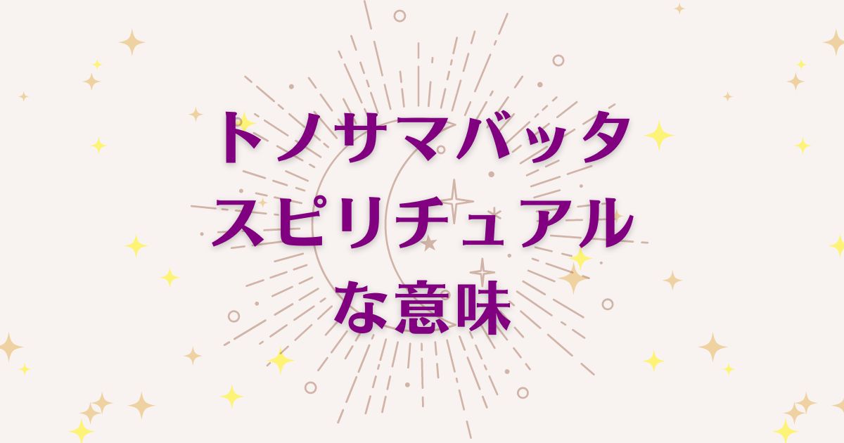 トノサマバッタのスピリチュアルな4つの意味！メッセージと象徴を解説