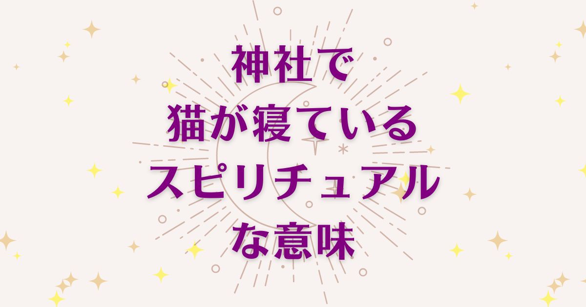 神社で猫が寝ている時のスピリチュアルな7つの意味！メッセージと象徴を解説