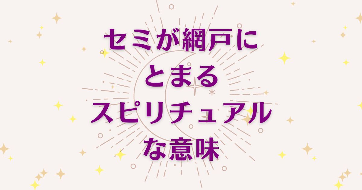 セミが網戸にとまるスピリチュアルな7つの意味！メッセージと象徴を解説