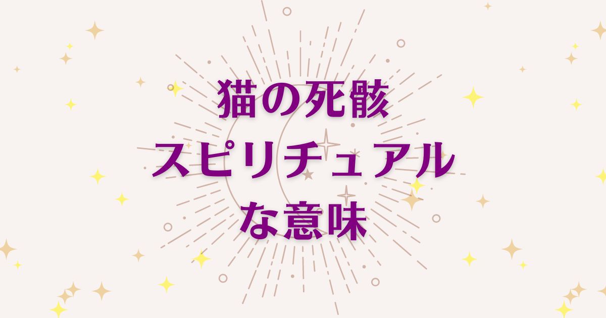 猫の死骸のスピリチュアルな4つの意味！メッセージと象徴を解説