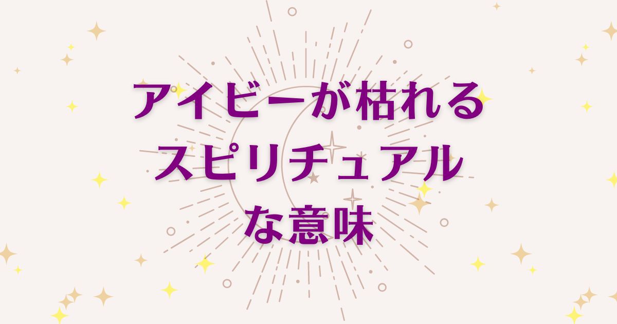 「アイビーが枯れる」スピリチュアルな6つの意味！メッセージと象徴を解説