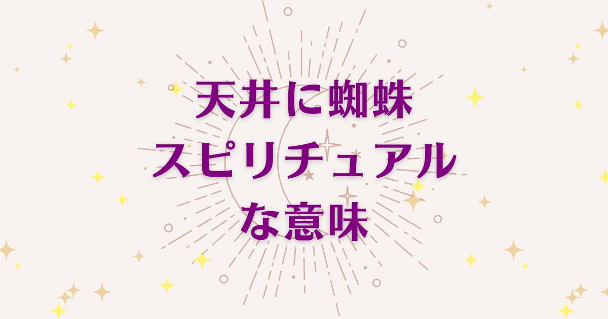 「天井に蜘蛛」のスピリチュアルな7つの意味！メッセージと象徴を解説