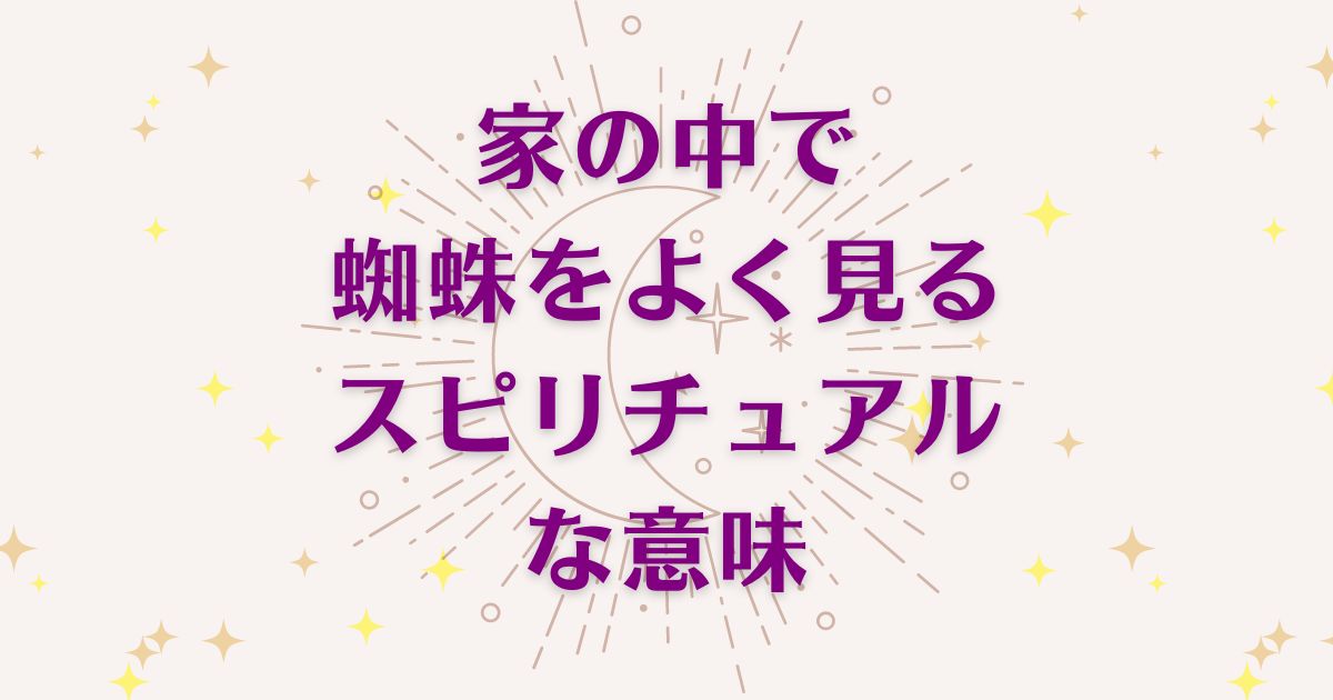 家の中で蜘蛛をよく見るスピリチュアル意味６選！メッセージと象徴を解説