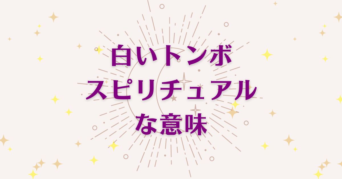 白いトンボのスピリチュアルな8つの意味！メッセージと象徴を解説