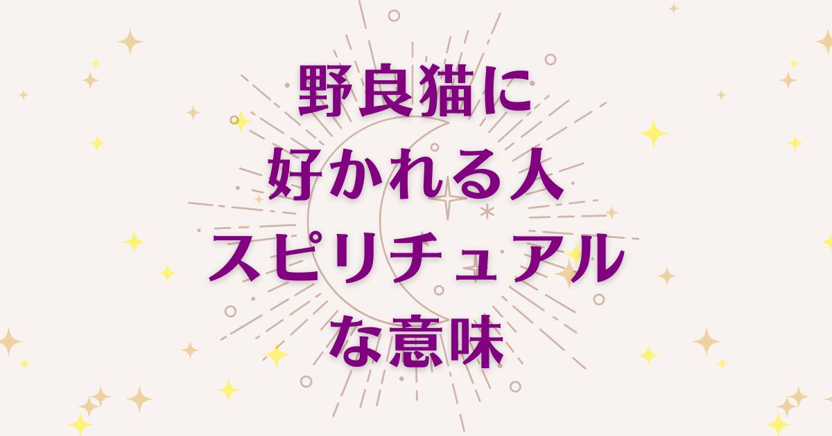 「野良猫に好かれる人」のスピリチュアルな5つの意味！メッセージとサインを徹底解説