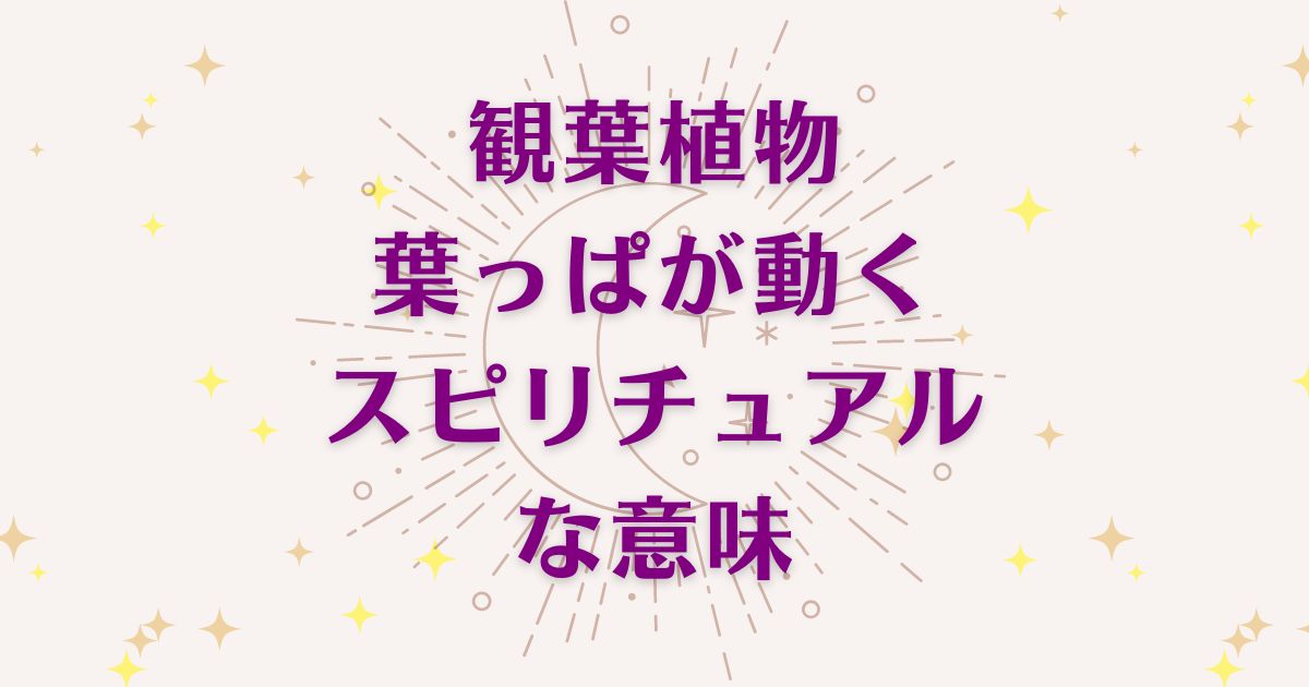 「観葉植物の葉っぱが動く時」のスピリチュアルな5つの意味！