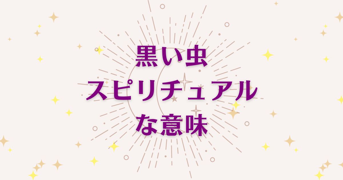 「黒い虫」のスピリチュアルメッセージ！良い意味と悪いサインを解説