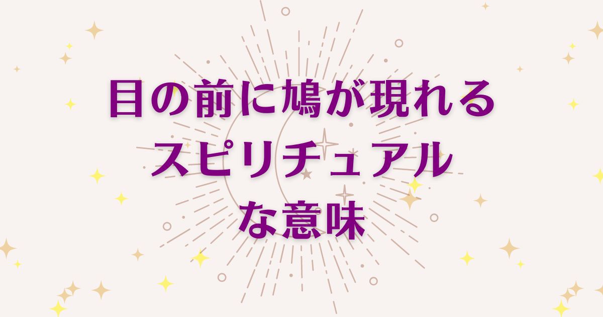 目の前に鳩が現れることのスピリチュアルな7つの意味！メッセージと象徴を解説