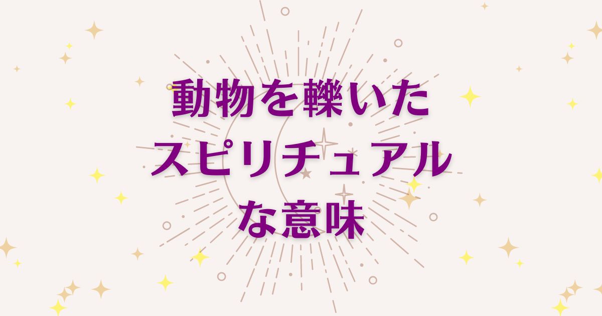 動物を轢いた時のスピリチュアルな8つの意味！メッセージと象徴を解説