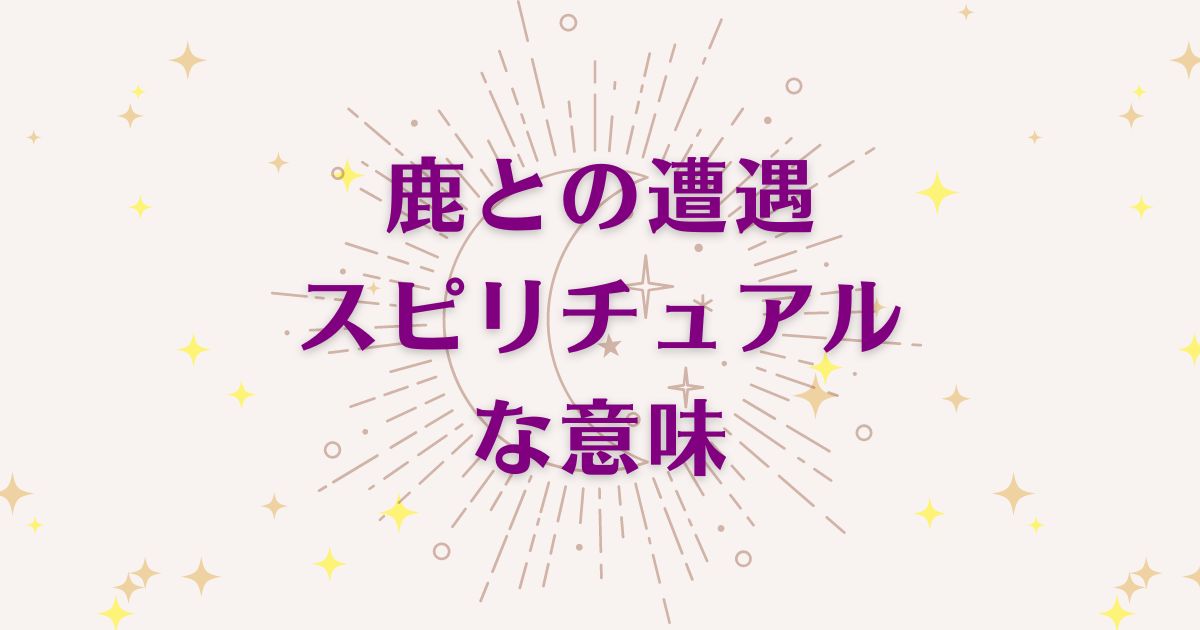 鹿との遭遇のスピリチュアルな7つの意味！メッセージと象徴を解説