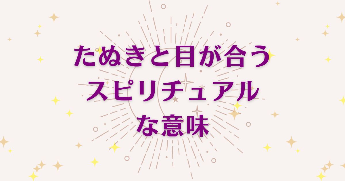 たぬきと目が合う時のスピリチュアルな6つの意味！メッセージと象徴を解説