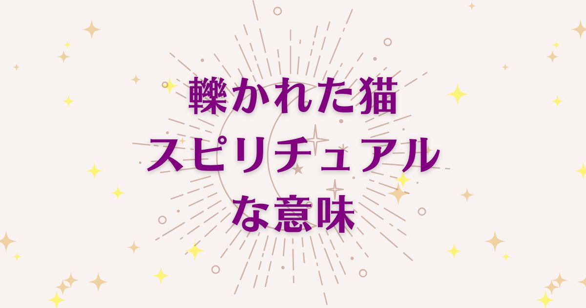 「轢かれた猫」のスピリチュアルメッセージ！良い意味と悪いサインを解説