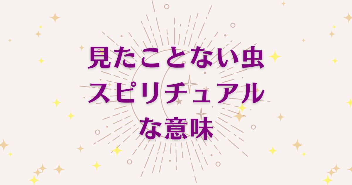 見たことない虫のスピリチュアルな8つの意味！メッセージと象徴を解説