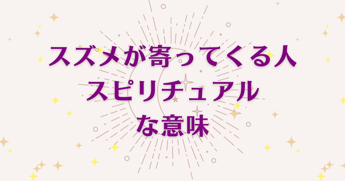 スズメが寄ってくる人のスピリチュアルな7つの意味！メッセージと象徴を解説