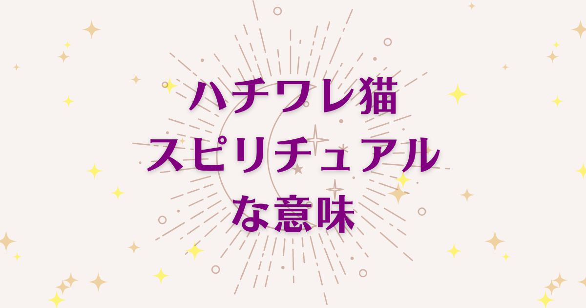 ハチワレ猫のスピリチュアルな7つの意味！メッセージと象徴を解説