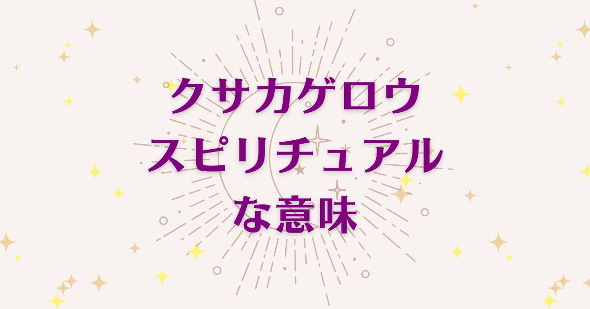 クサカゲロウのスピリチュアルな6つの意味！メッセージと象徴を解説