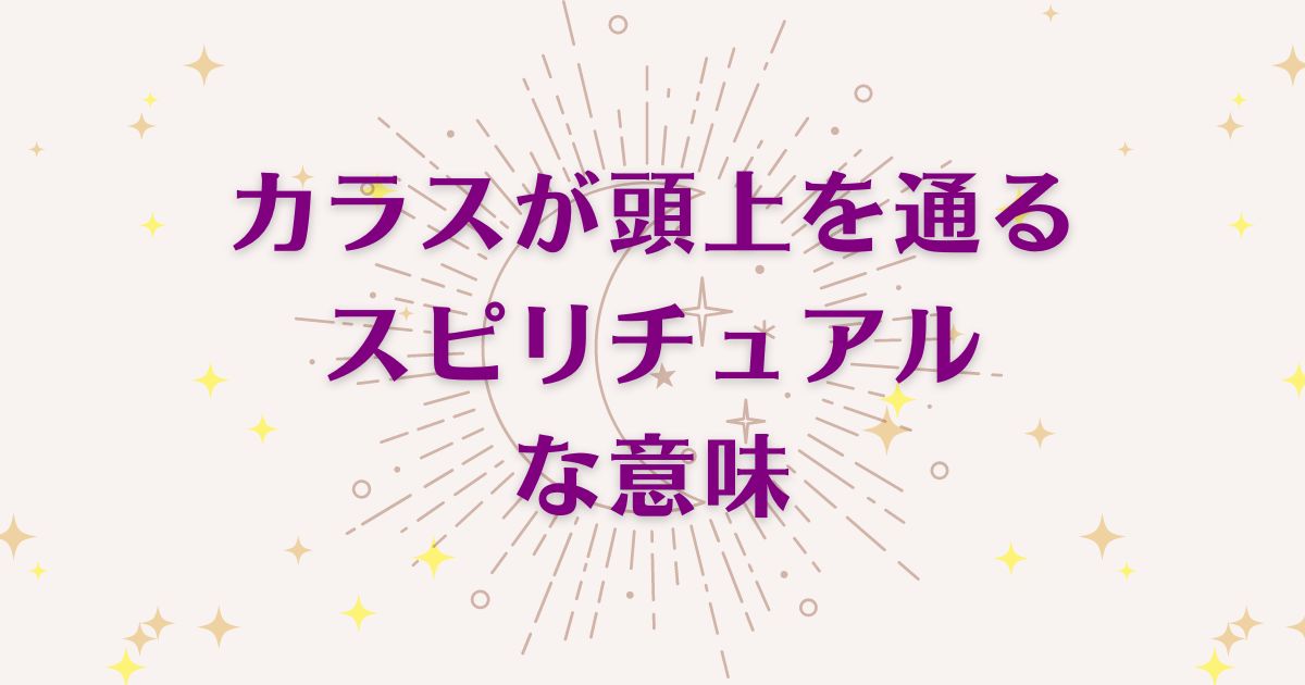 カラスが頭の上を通ることのスピリチュアルな6つの意味！メッセージと象徴を解説