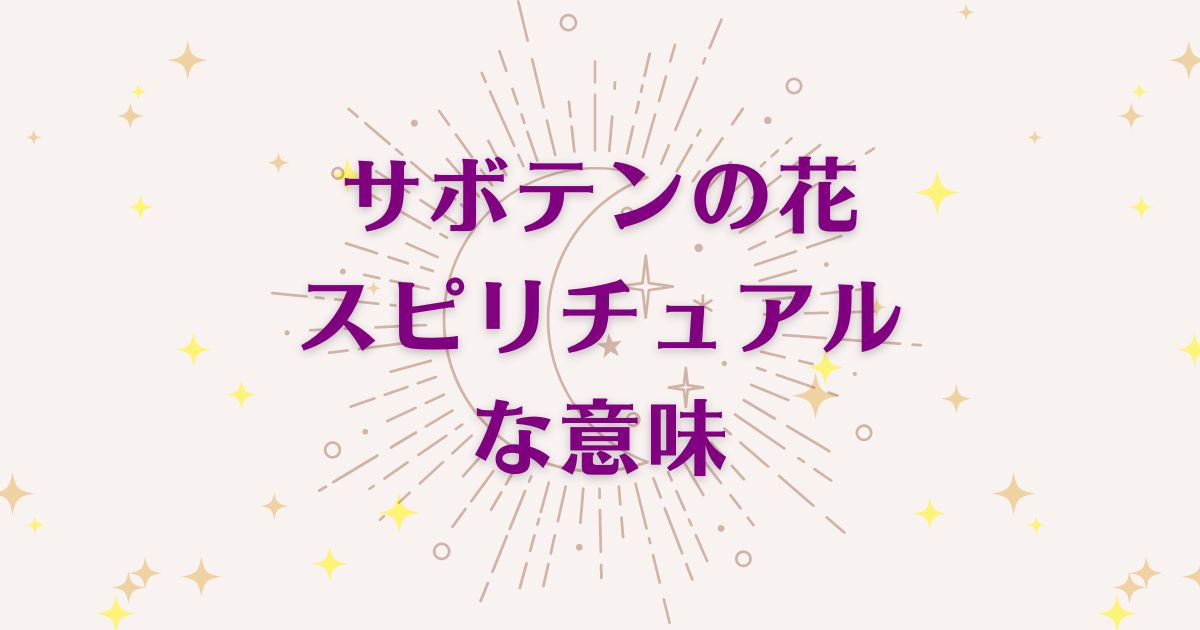 サボテンの花のスピリチュアルな6つの意味！メッセージと象徴を解説