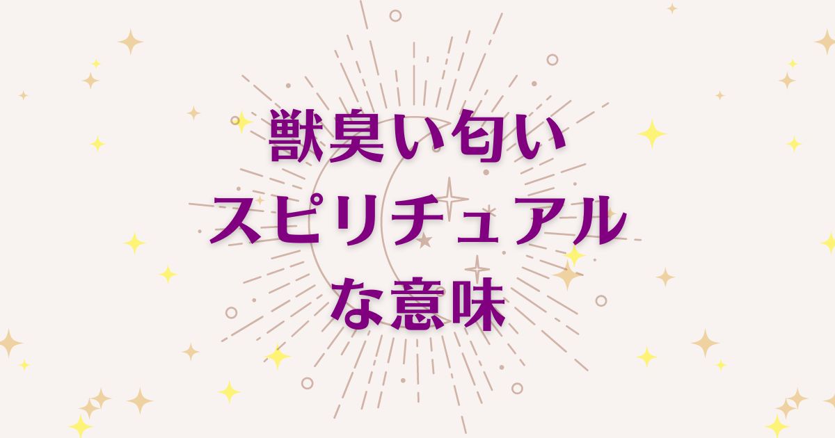 獣臭い匂いのスピリチュアルな6つの意味！メッセージと象徴を解説