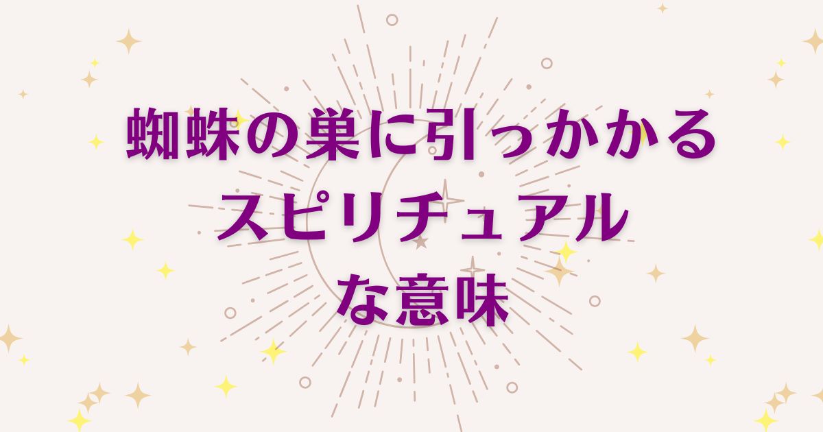 蜘蛛の巣に引っかかることのスピリチュアルな4つの意味！メッセージと象徴を解説